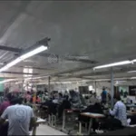 Bán đất 5.769m2 có 1.500m2 nhà xưởng. 300m2 đất thổ cư. Đang cho thuê 40tr/T cách TP Trà Vinh 10p - Ảnh thu nhỏ 4