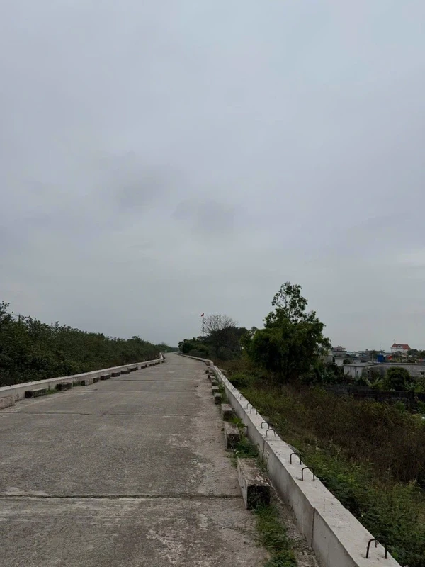 Bán đất ven đê biển Nam Thịnh Tiền Hải Thái Bình 154m2