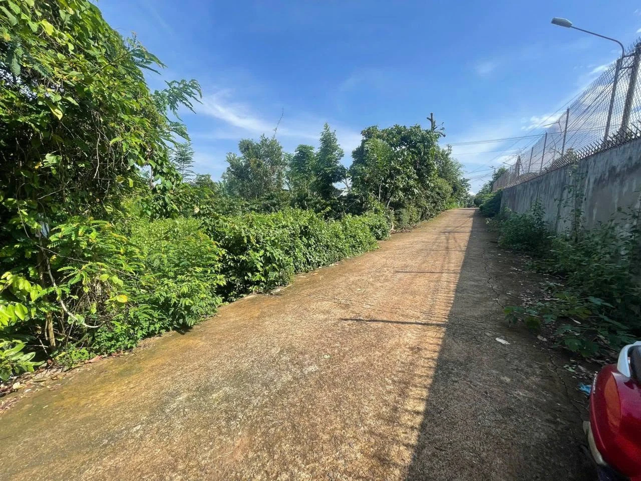 Bán đất 10x48m (thổ cư 60m2) giá 999 triệu mặt tiền đường nhựa tại Buôn Tăng Jú, Phường Ea Kao, Đắk Lắk - Ảnh 1