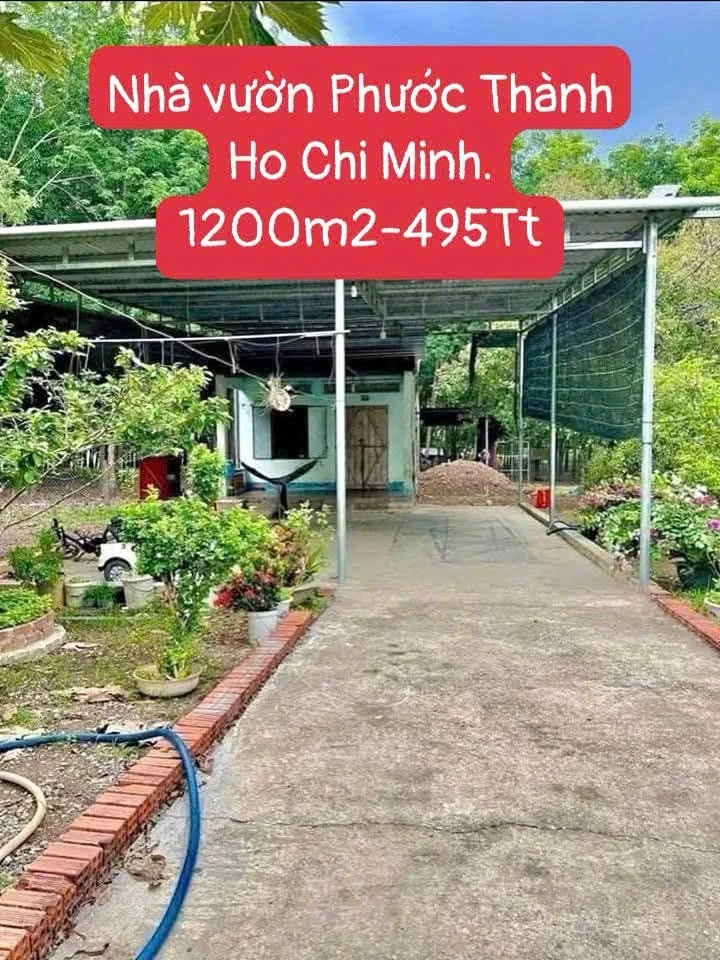 Bán đất vườn 1.200m² có nhà cấp 4 Phú Giáo 495 triệu - Ảnh 1