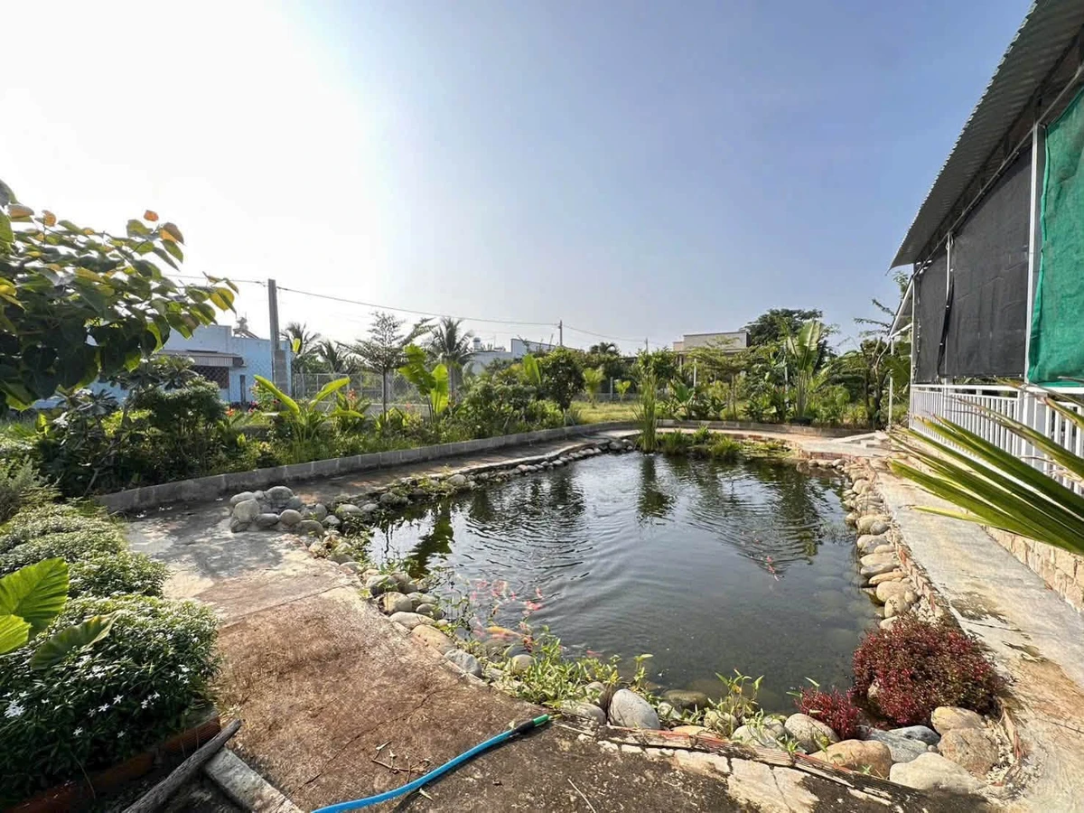 Bán nhà vườn Phường Bình Thuận 440m² lô góc 2 mặt tiền - Ảnh thu nhỏ 4