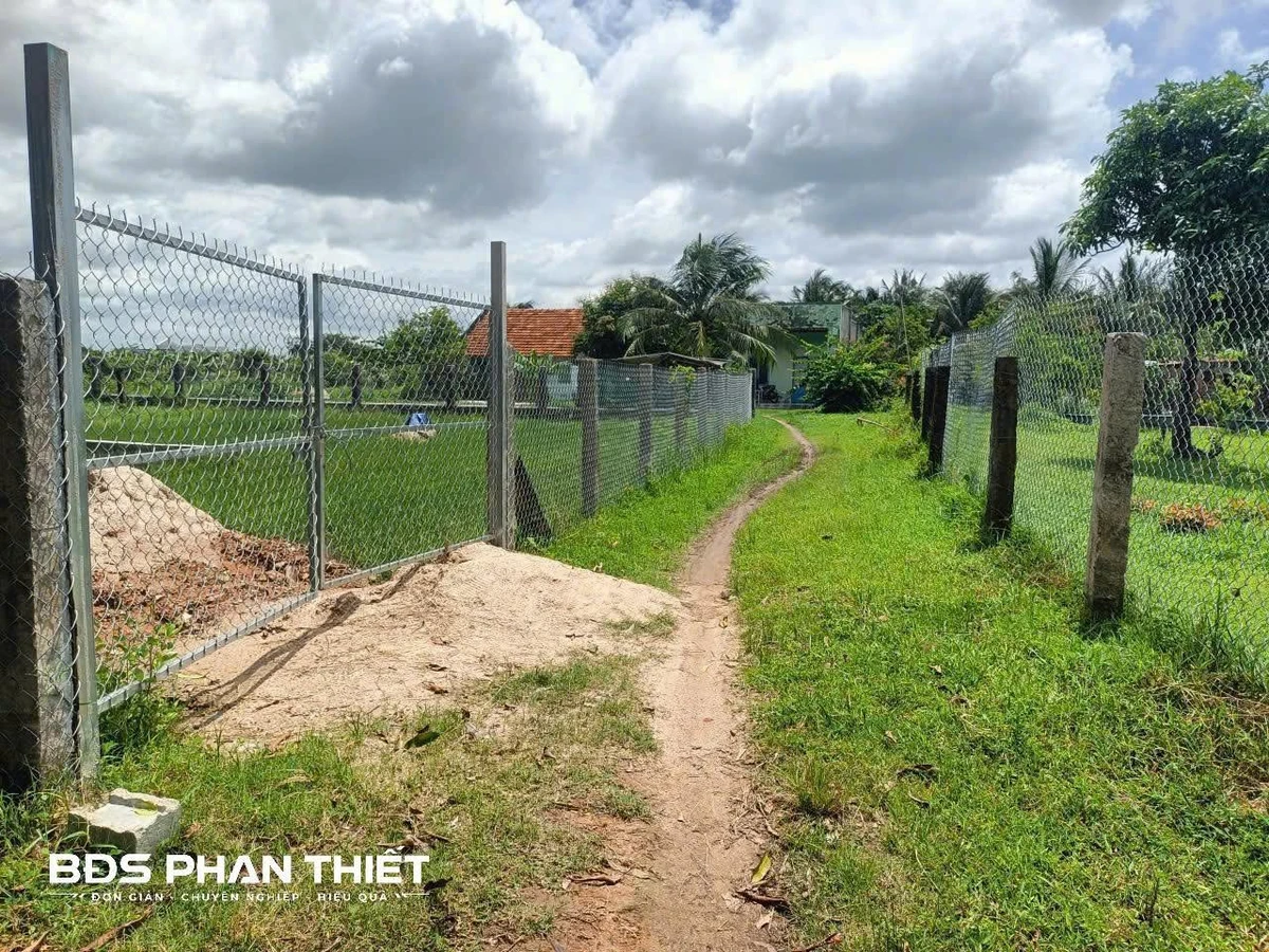 Bán đất vườn CLN 753,9m² tại Hàm Liêm, Phan Thiết - Ảnh thu nhỏ 3