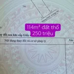 Bán đất thổ cư 115m² tại Châu Thành, Long An - 250 triệu - Ảnh thu nhỏ 1