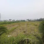 Bán đất vườn 3000m2 mặt tiền kênh Xã Lương Hòa Bến Lức - Ảnh thu nhỏ 3