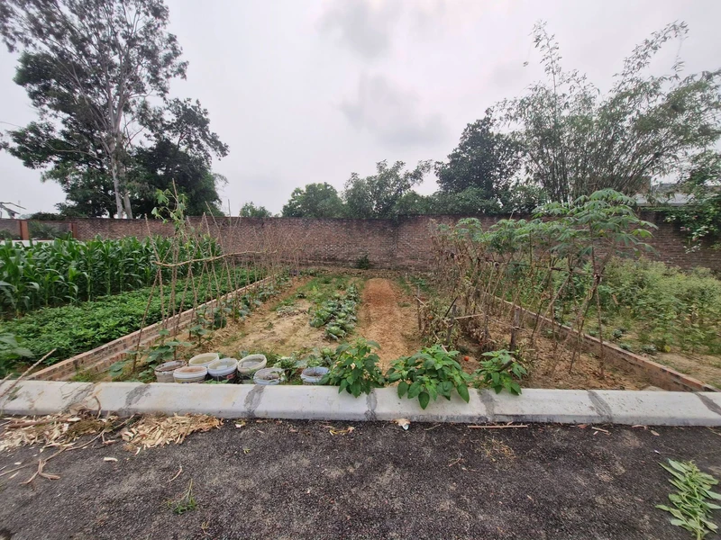 Bán đất 80m2 mặt tiền rộng Phú Sóc Sơn Hà Nội