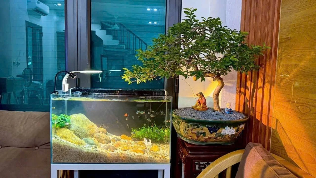 Bán nhà lô góc 42.5m² 3 phòng ngủ Bình Lộc - Ảnh thu nhỏ 3