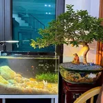 Bán nhà lô góc 42.5m² 3 phòng ngủ Bình Lộc - Ảnh thu nhỏ 3