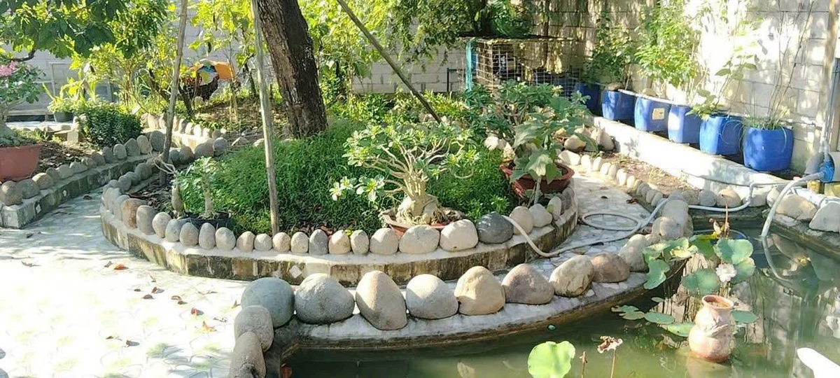 Bán đất 530m² Phú Hưng Bến Tre, có hồ bơi và sân vườn - Ảnh thu nhỏ 4