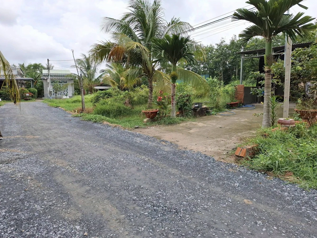 Bán đất 183,5m² Gò Dầu Tây Ninh 900 triệu - Ảnh thu nhỏ 5