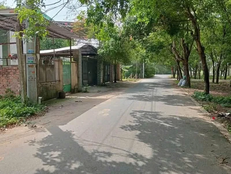 Bán đất thổ cư đường nhựa 6m, sau trường mầm non Phú An, gần DT744 - Ảnh 1