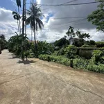 Bán đất góc 2 mặt tiền Phổ Nam Huế 210m2 - Ảnh thu nhỏ 4