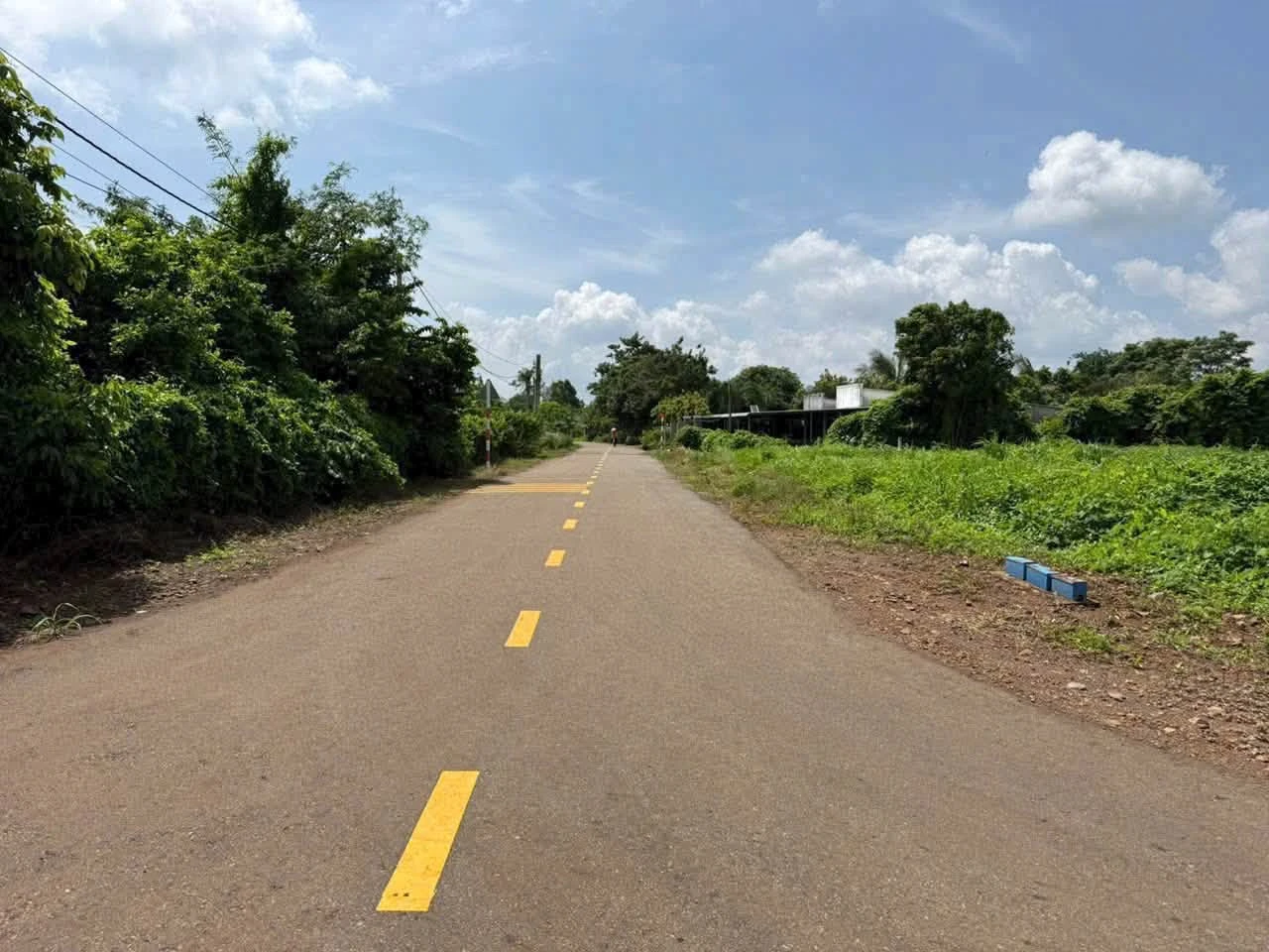 Bán đất Xã Đất Đỏ 543m2, mặt tiền Long Tân, 1 tỷ 450 - Ảnh 1