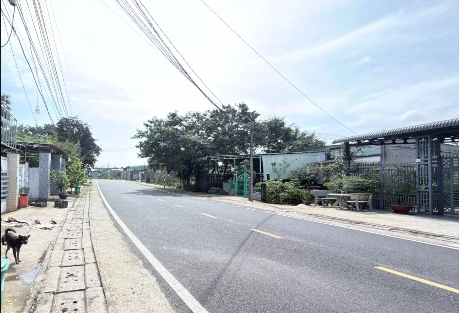 Bán đất Năm Cỏn Tân Xuân vị trí đẹp gần DT741 - Ảnh 1