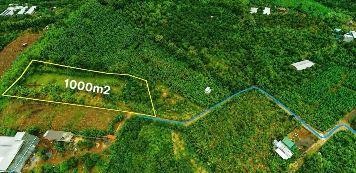 Bán đất 1.300m² La Ngà Đồng Nai 800 triệu - Ảnh thu nhỏ 3