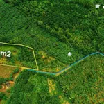 Bán đất 1.300m² La Ngà Đồng Nai 800 triệu - Ảnh thu nhỏ 3