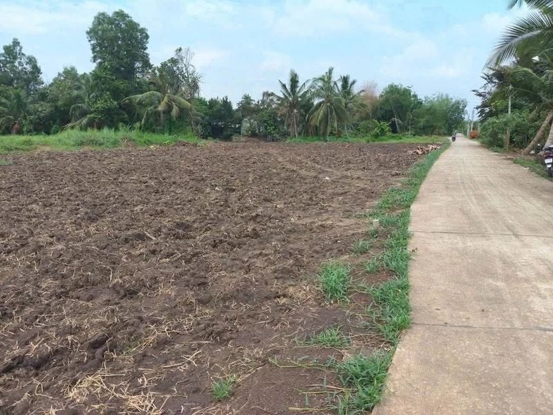 Bán đất thổ cư Bình Lãng, Tân Trụ - 5x28,5m và 6x30m
