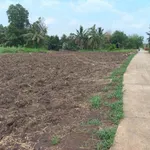 Bán đất thổ cư Bình Lãng, Tân Trụ - 5x28,5m và 6x30m - Ảnh thu nhỏ 1