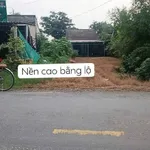 Bán đất mặt tiền Tỉnh lộ 833 Tân Trụ Long An 185,8 m² - Ảnh thu nhỏ 2