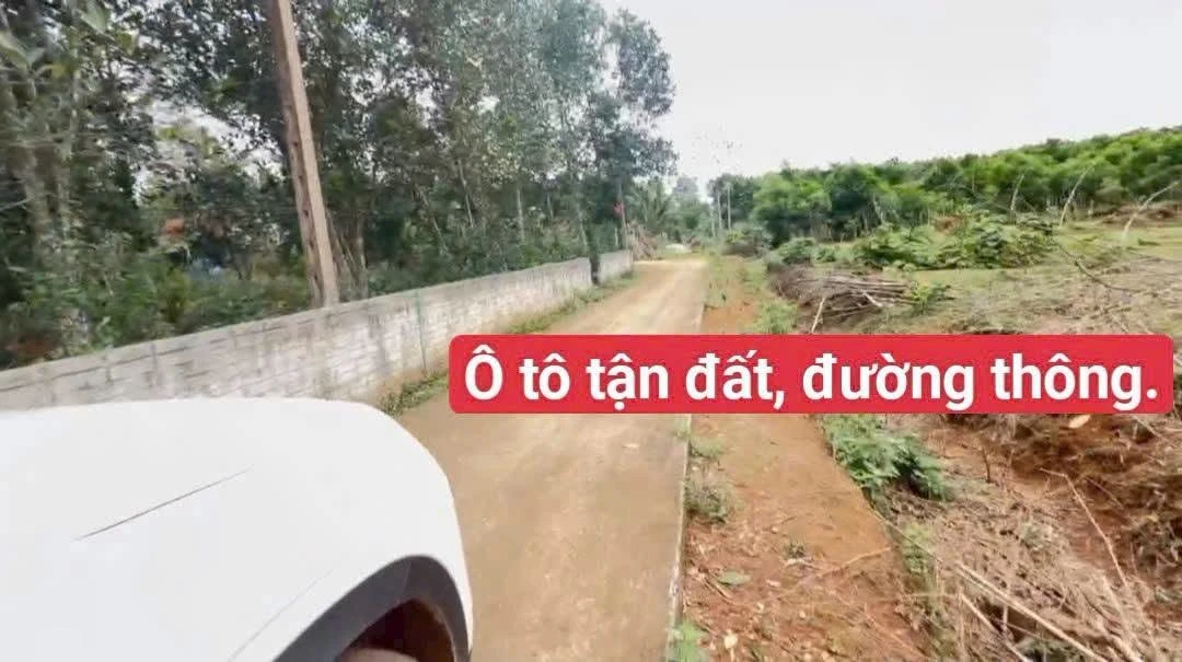 Bán đất hơn 100m2 mặt tiền 9m giá 199 triệu tại xã Thọ Phú, Triệu Sơn, Thanh Hóa - Ảnh thu nhỏ 3