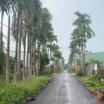 Bán đất Hòa Thuận 613,7m² mặt tiền rộng chỉ 3 tỷ - Ảnh thu nhỏ 1
