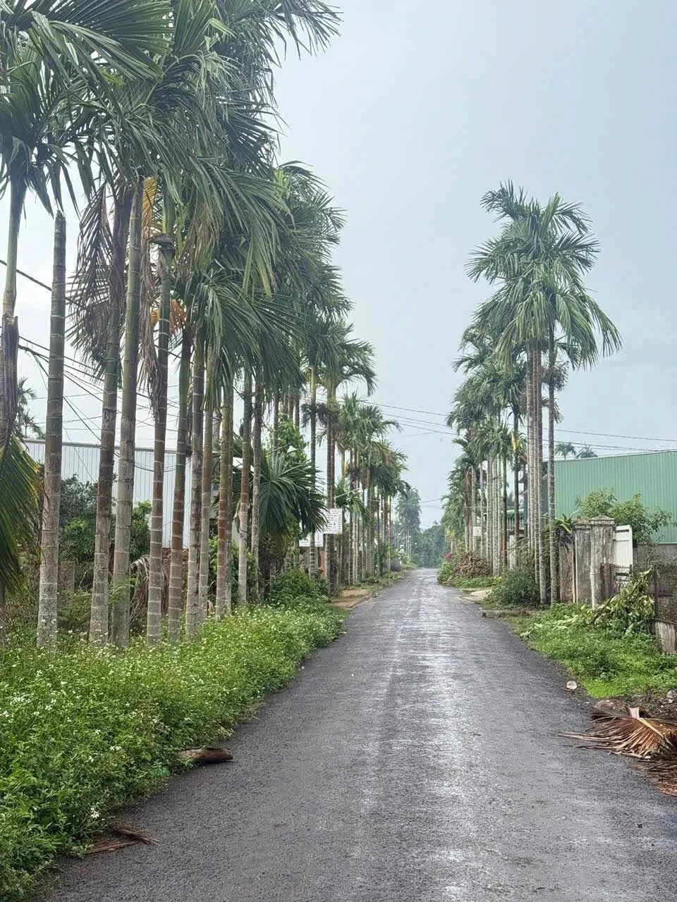 Bán đất Hòa Thuận 613,7m² mặt tiền rộng chỉ 3 tỷ - Ảnh 1