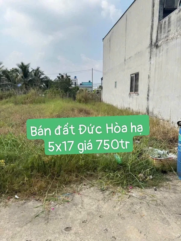 Bán đất Đức Hoà Hạ, Đức Hoà, Long An 85m² - 750 triệu