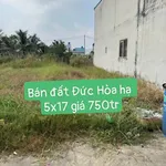 Bán đất Đức Hoà Hạ, Đức Hoà, Long An 85m² - 750 triệu - Ảnh thu nhỏ 1