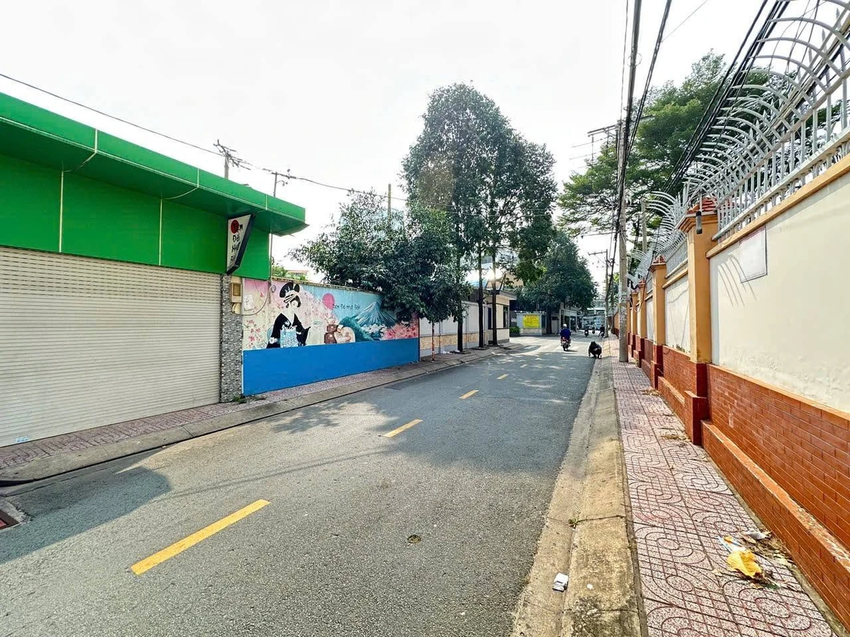 Bán nhà cấp 4 hẻm xe hơi Lũy Bán Bích, Tân Phú, 338m², giá 31 tỷ - Ảnh thu nhỏ 3