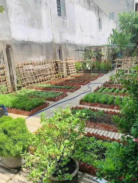 Bán nhà sân vườn 184.5m² 3PN Trảng Dài, 4 tỷ 550 triệu - Ảnh thu nhỏ 5