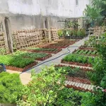 Bán nhà sân vườn 184.5m² 3PN Trảng Dài, 4 tỷ 550 triệu - Ảnh thu nhỏ 5
