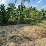 Bán đất tại xã Phú Quới, huyện Long Hồ, Vĩnh Long, giá siêu hời 3,9 tỷ, 1169,2 m2 - Ảnh thu nhỏ 2
