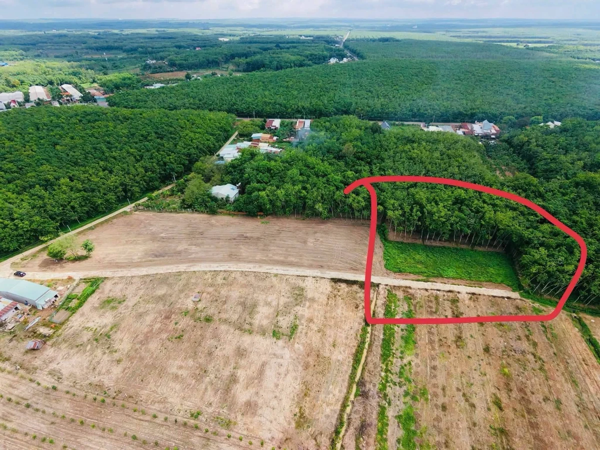 Bán đất Bình Phước 100m², 310 triệu - Ảnh 1