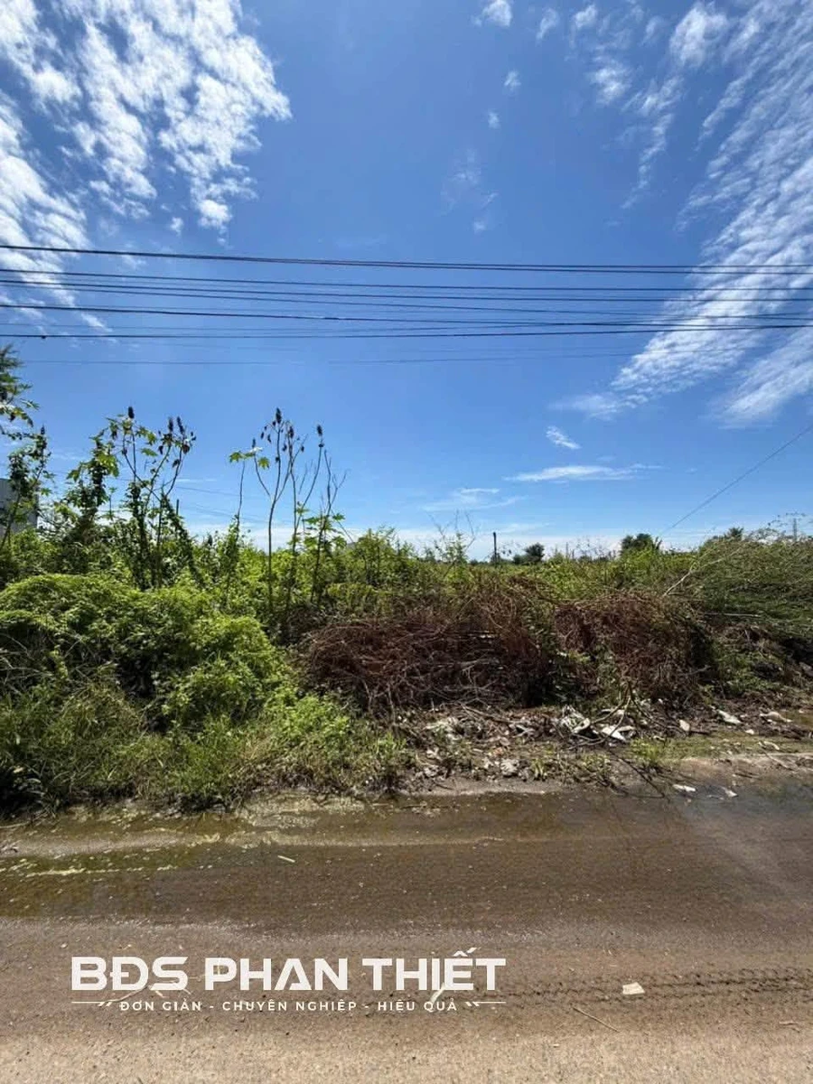 Bán đất Bến Lội Lại An 100m² - 1,4 tỷ - Ảnh thu nhỏ 2