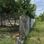 Bán đất nền Tây Ninh 8.5×33m, 280m² giá 460 triệu - Ảnh thu nhỏ 2