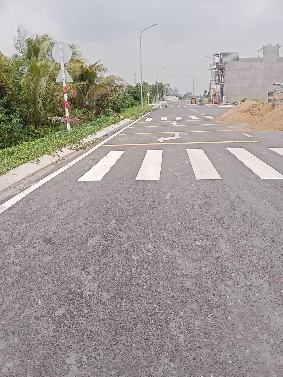 Bán đất lúa 1000m² mặt tiền D1 Thanh Phú Bến Lức - Ảnh thu nhỏ 2