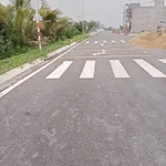 Bán đất lúa 1000m² mặt tiền D1 Thanh Phú Bến Lức - Ảnh thu nhỏ 2