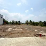 Bán đất thổ cư mặt tiền 15m Tân Bửu 181m2 giáp Bình Chánh - Ảnh thu nhỏ 3