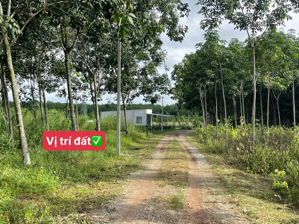 Bán đất nền 100m² Chơn Thành Đồng Nai 650 triệu - Ảnh 1