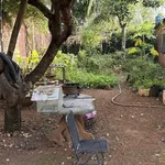 Bán đất 6x23 thổ cư 50m² Phường Khánh Xuân 750 triệu - Ảnh thu nhỏ 3