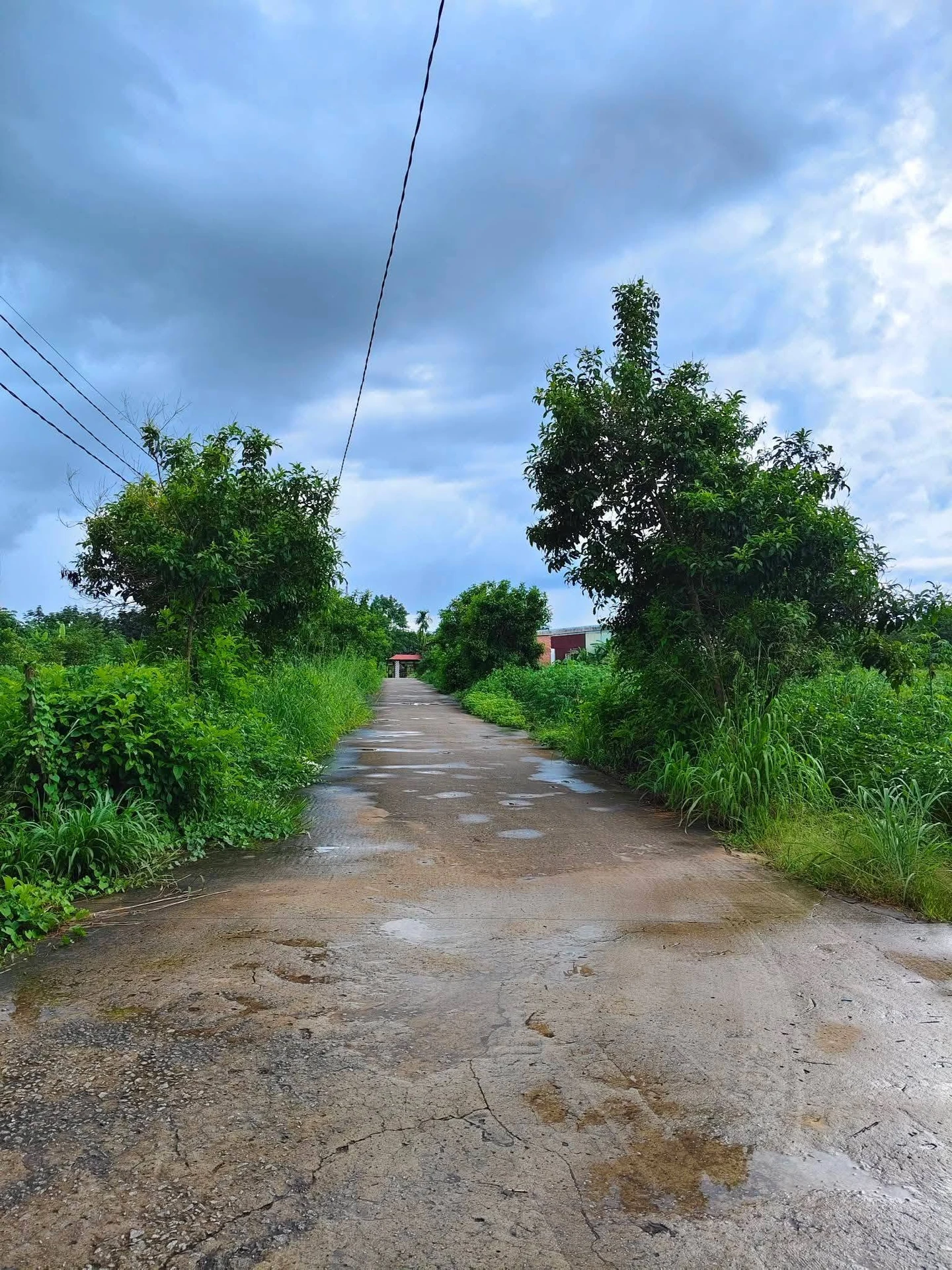 Bán lô đất Tân Thành 390 m² giá 1 tỷ - Ảnh 1