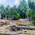Bán đất 280m2 gần QL 60 Tân Thạch, Củ Chi - 595 triệu - Ảnh thu nhỏ 1