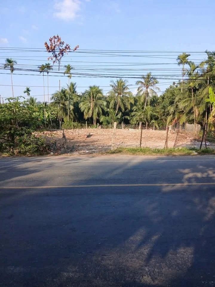 Bán đất mặt tiền đường 173 gần Cầu Phong Nẫm, 1.000m², giá 6,5 tỷ, Bến Tre - Ảnh thu nhỏ 2