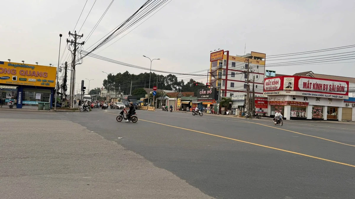 Bán đất 250m² kinh doanh Phúc Hưng Golden Bình Chánh - Ảnh thu nhỏ 2
