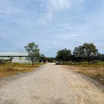 Bán đất 4.200m² QL1A Hố Nai Mới, giá 4,2 tỷ - Ảnh thu nhỏ 4