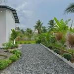 Bán nhà vườn Bình Chánh 153m² 2PN 1 tỷ 450 triệu - Ảnh thu nhỏ 2