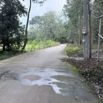 Bán đất Tân Bình 200m² giá 1 tỷ 5 - Ảnh thu nhỏ 4