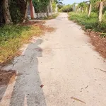 Bán đất 2400m² thổ cư 200m² Bình Thuận 1 tỷ 750 triệu - Ảnh thu nhỏ 1