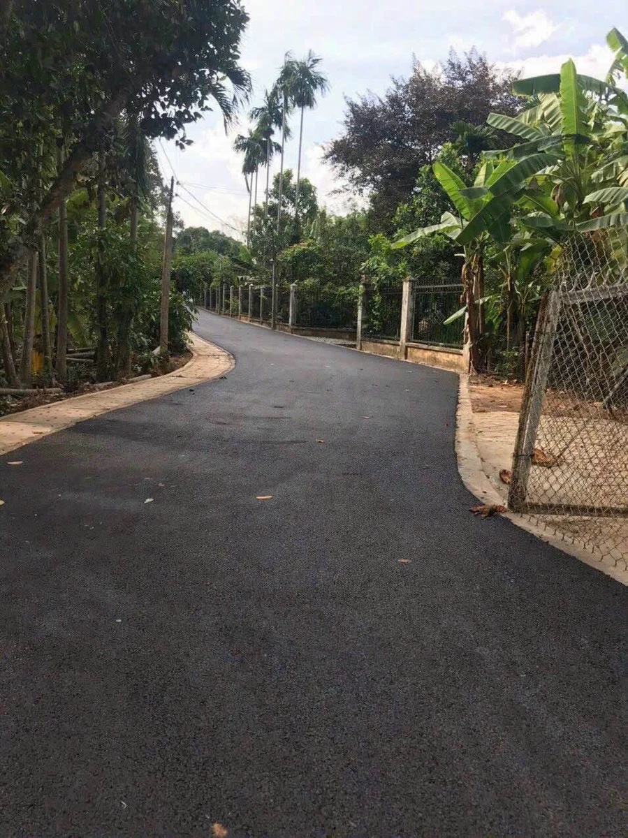 Bán nhà C4 cổ xưa 563m² Phường Chánh Hưởng Bình Chánh - Ảnh thu nhỏ 3