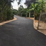 Bán nhà C4 cổ xưa 563m² Phường Chánh Hưởng Bình Chánh - Ảnh thu nhỏ 3