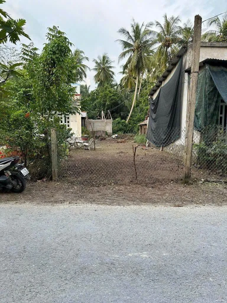 Bán nền mặt tiền Tân Thành Bình 365m² 800 triệu - Ảnh thu nhỏ 2